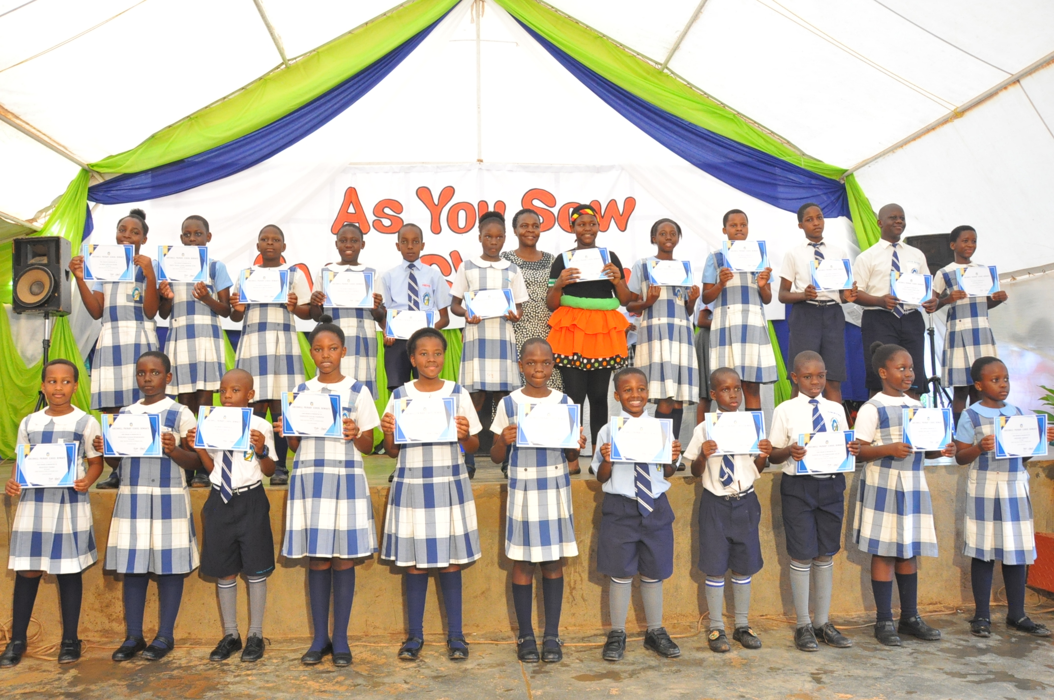 Parent-Teacher Conferences (Term 1)