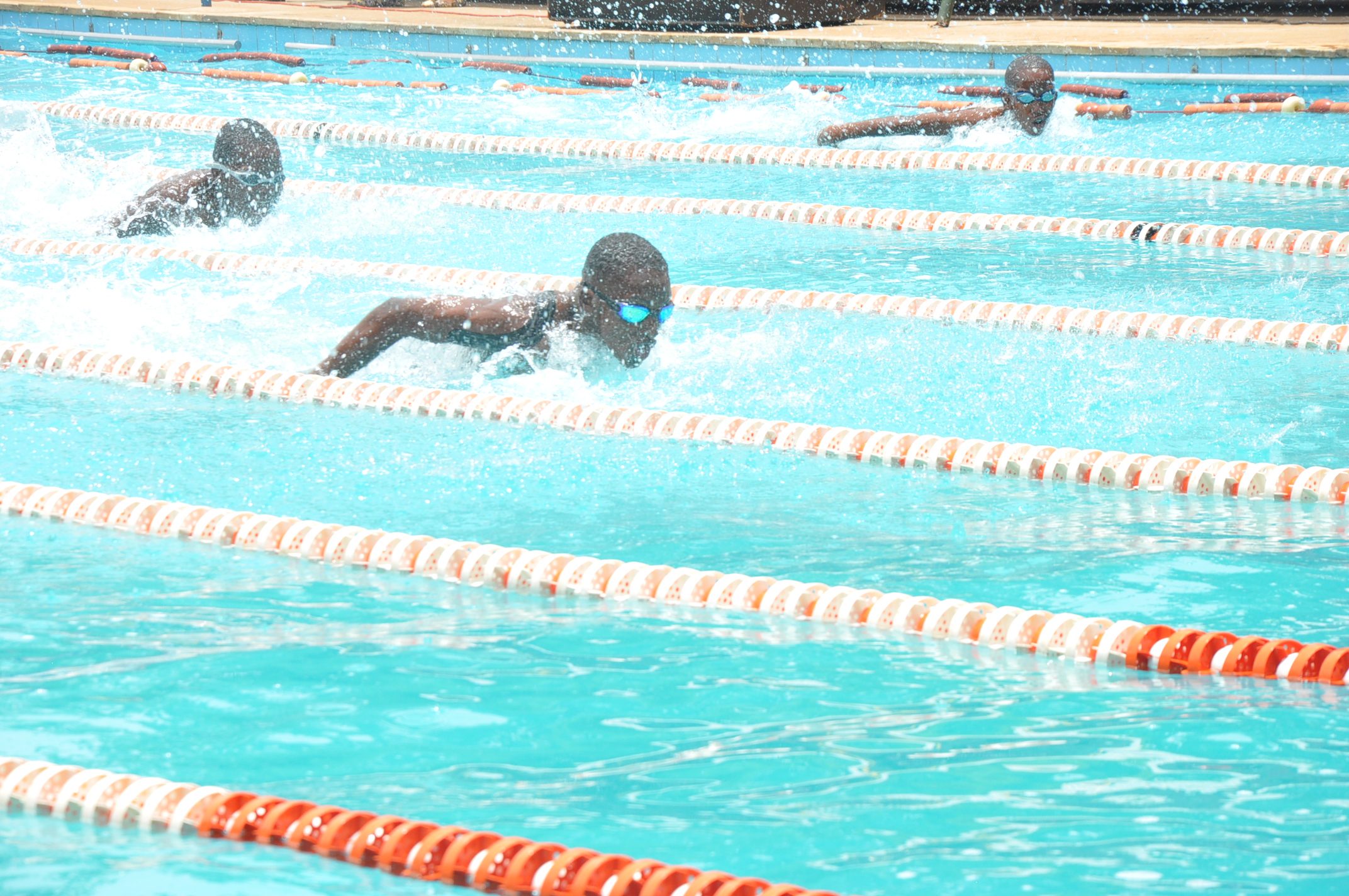 Primary Students Win National Mathematics Competition